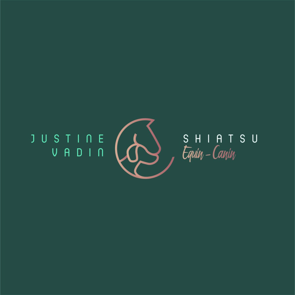Logo-JV-Shiatsu-FINAL-carre- (2)