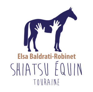 Elsa Baldrati-Robinet